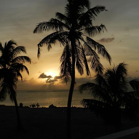 Faza View Inn, Maafushi Eksteriør bilde