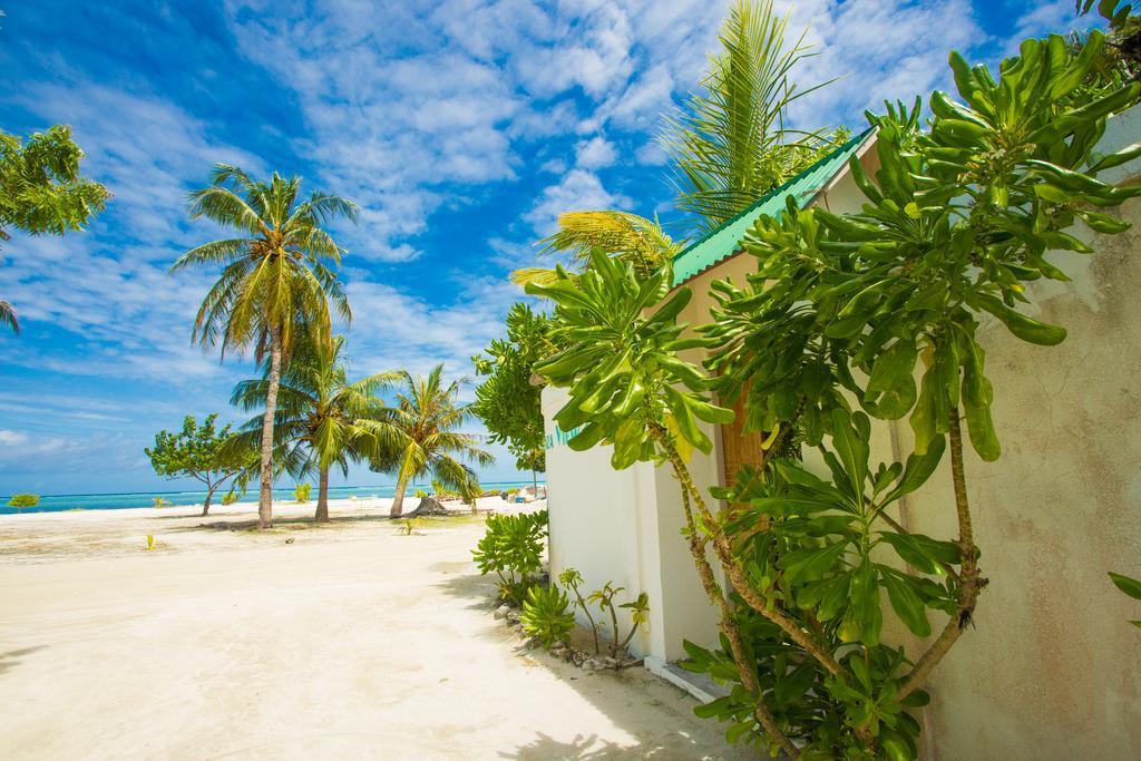 Faza View Inn, Maafushi Eksteriør bilde