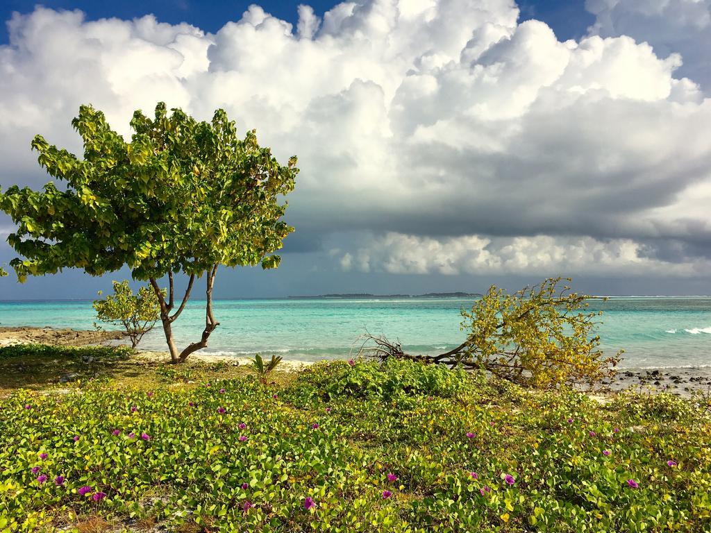 Faza View Inn, Maafushi Eksteriør bilde