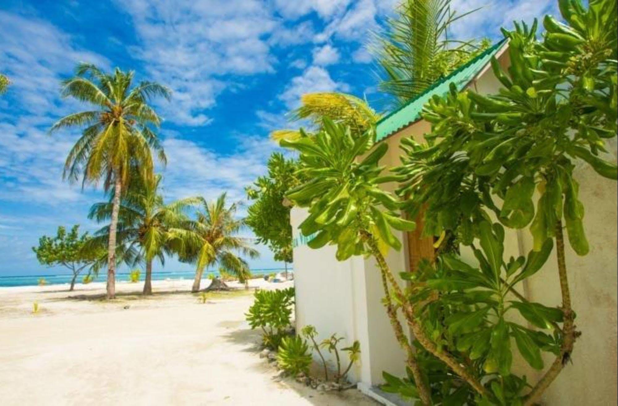 Faza View Inn, Maafushi Eksteriør bilde