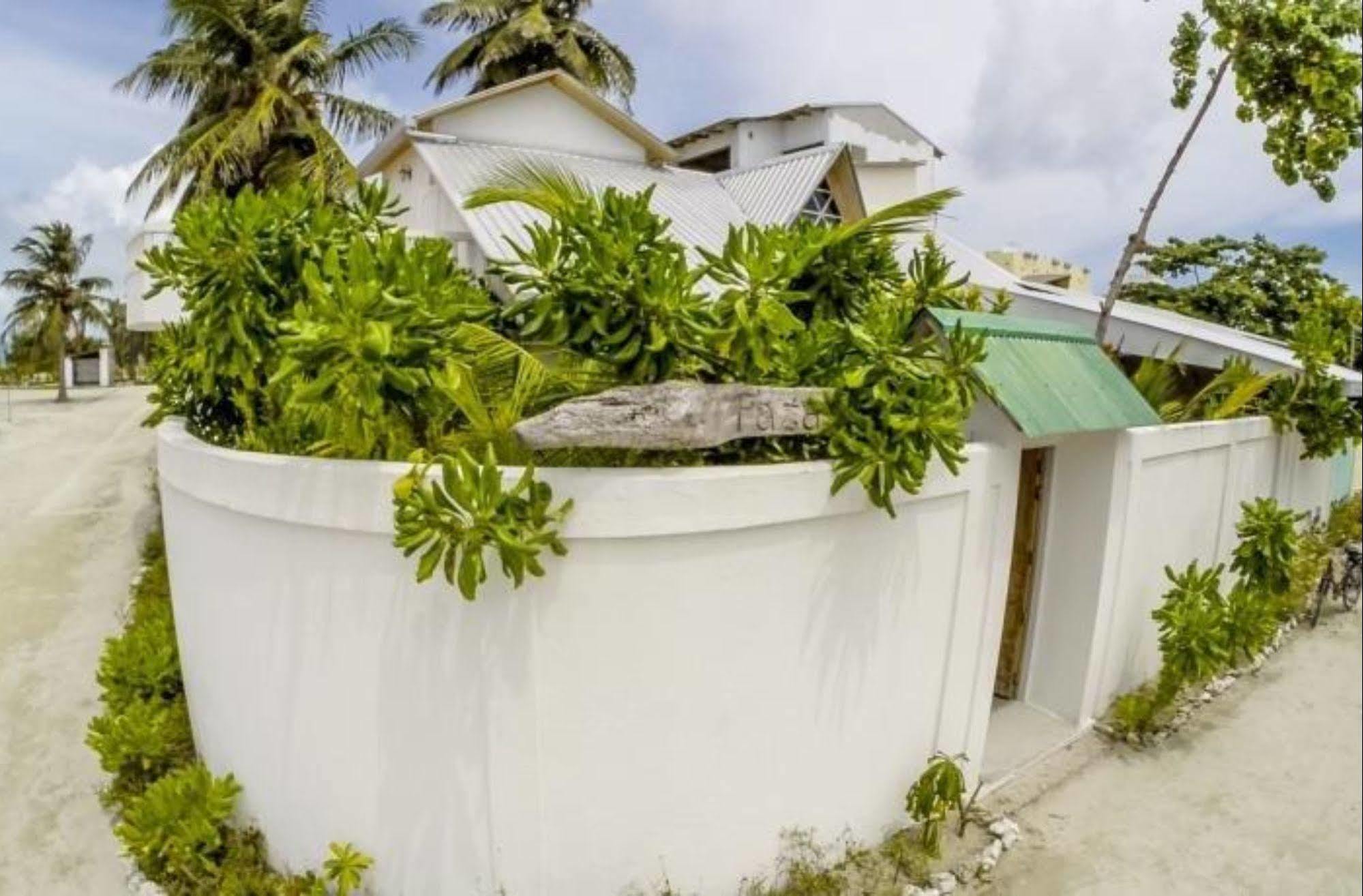 Faza View Inn, Maafushi Eksteriør bilde